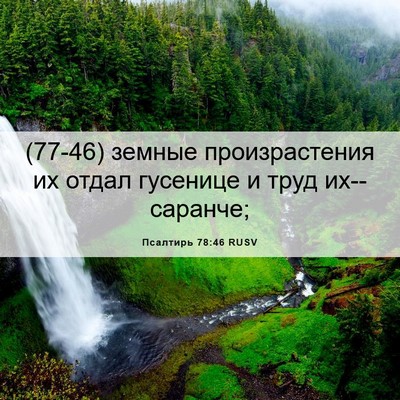 Picture 06 - Псалтирь 78:46 RUSV - (77-46) земные произрастения - Bible Verse Picture