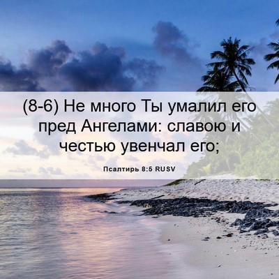 Picture 06 - Псалтирь 8:5 RUSV - (8-6) Не много Ты умалил его - Bible Verse Picture