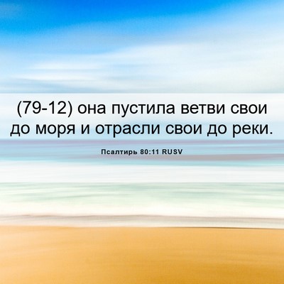 Picture 06 - Псалтирь 80:11 RUSV - (79-12) она пустила ветви свои - Bible Verse Picture