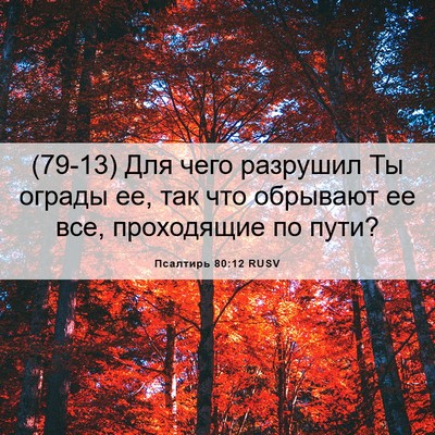 Picture 06 - Псалтирь 80:12 RUSV - (79-13) Для чего разрушил Ты - Bible Verse Picture