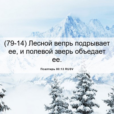 Picture 06 - Псалтирь 80:13 RUSV - (79-14) Лесной вепрь - Bible Verse Picture