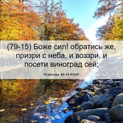 Picture 06 - Псалтирь 80:14 RUSV - (79-15) Боже сил! обратись же, - Bible Verse Picture