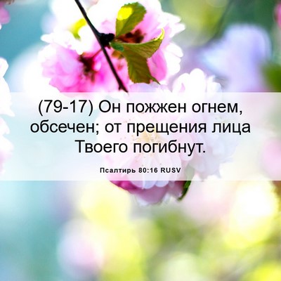 Picture 06 - Псалтирь 80:16 RUSV - (79-17) Он пожжен огнем, - Bible Verse Picture