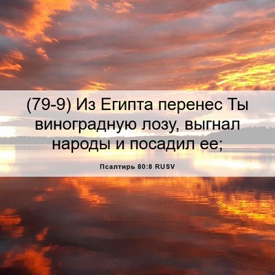 Picture 06 - Псалтирь 80:8 RUSV - (79-9) Из Египта перенес Ты - Bible Verse Picture