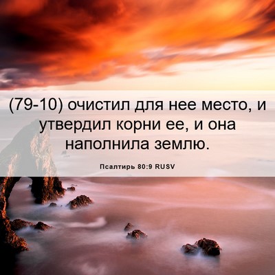 Picture 06 - Псалтирь 80:9 RUSV - (79-10) очистил для нее место, - Bible Verse Picture