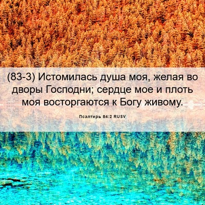 Picture 06 - Псалтирь 84:2 RUSV - (83-3) Истомилась душа моя, - Bible Verse Picture