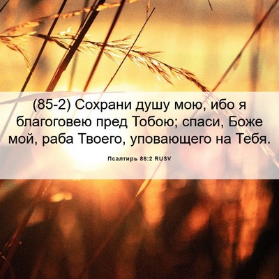 Picture 06 - Псалтирь 86:2 RUSV - (85-2) Сохрани душу мою, ибо я - Bible Verse Picture