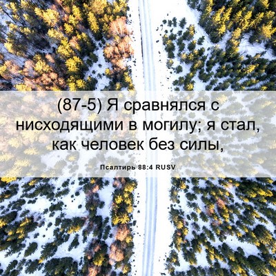 Picture 06 - Псалтирь 88:4 RUSV - (87-5) Я сравнялся с - Bible Verse Picture