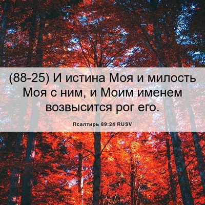 Picture 06 - Псалтирь 89:24 RUSV - (88-25) И истина Моя и милость - Bible Verse Picture