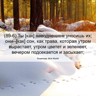 Picture 06 - Псалтирь 90:6 RUSV - (89-6) Ты [как] наводнением - Bible Verse Picture