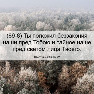 Picture 06 - Псалтирь 90:8 RUSV - (89-8) Ты положил беззакония - Bible Verse Picture