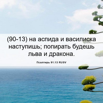 Picture 06 - Псалтирь 91:13 RUSV - (90-13) на аспида и василиска - Bible Verse Picture