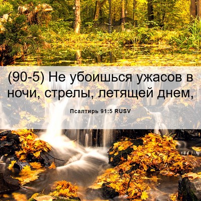 Picture 06 - Псалтирь 91:5 RUSV - (90-5) Не убоишься ужасов в - Bible Verse Picture