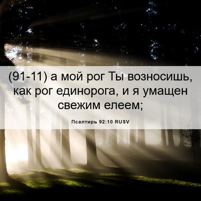 Picture 06 - Псалтирь 92:10 RUSV - (91-11) а мой рог Ты возносишь, - Bible Verse Picture