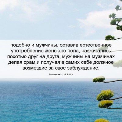 Picture 06 - Римлянам 1:27 RUSV - подобно и мужчины, оставив - Bible Verse Picture