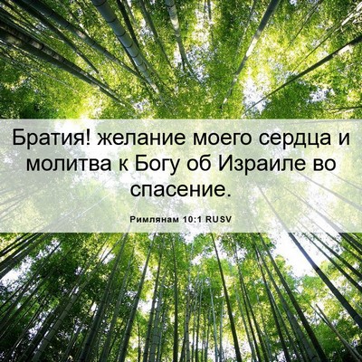 Picture 06 - Римлянам 10:1 RUSV - Братия! желание моего - Bible Verse Picture