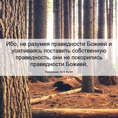 Picture 06 - Римлянам 10:3 RUSV - Ибо, не разумея - Bible Verse Picture