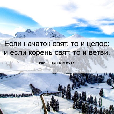 Picture 06 - Римлянам 11:16 RUSV - Если начаток свят, то и - Bible Verse Picture