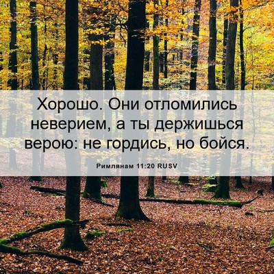 Picture 06 - Римлянам 11:20 RUSV - Хорошо. Они отломились - Bible Verse Picture