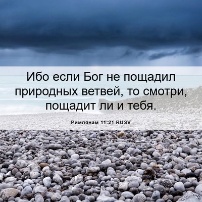 Picture 06 - Римлянам 11:21 RUSV - Ибо если Бог не пощадил - Bible Verse Picture