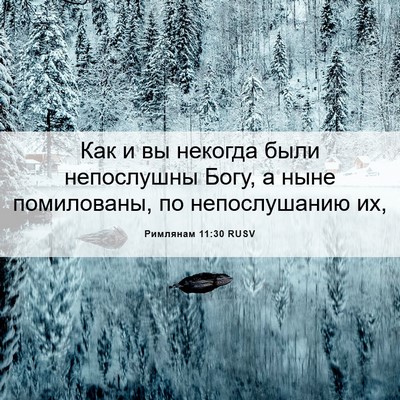 Picture 06 - Римлянам 11:30 RUSV - Как и вы некогда были - Bible Verse Picture