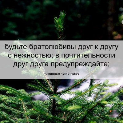 Picture 06 - Римлянам 12:10 RUSV - будьте братолюбивы друг к - Bible Verse Picture