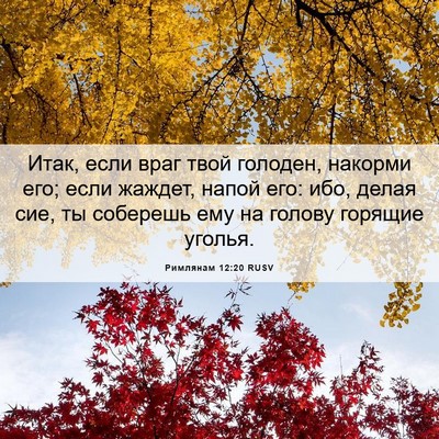 Picture 06 - Римлянам 12:20 RUSV - Итак, если враг твой - Bible Verse Picture