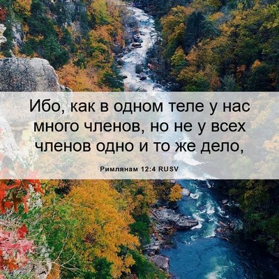 Picture 06 - Римлянам 12:4 RUSV - Ибо, как в одном теле у нас - Bible Verse Picture