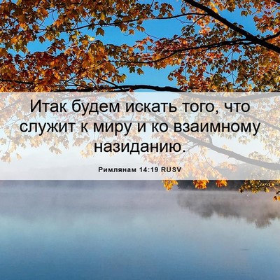 Picture 06 - Римлянам 14:19 RUSV - Итак будем искать того, что - Bible Verse Picture