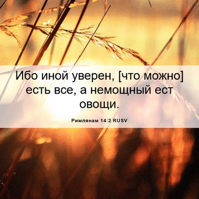 Picture 06 - Римлянам 14:2 RUSV - Ибо иной уверен, [что можно] - Bible Verse Picture
