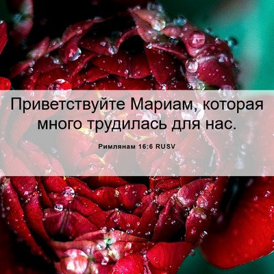 Picture 06 - Римлянам 16:6 RUSV - Приветствуйте Мариам, - Bible Verse Picture