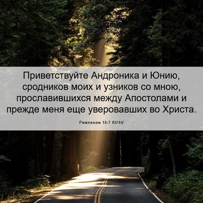 Picture 06 - Римлянам 16:7 RUSV - Приветствуйте Андроника и - Bible Verse Picture
