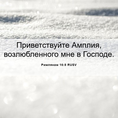 Picture 06 - Римлянам 16:8 RUSV - Приветствуйте Амплия, - Bible Verse Picture