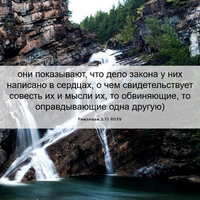 Picture 06 - Римлянам 2:15 RUSV - они показывают, что дело - Bible Verse Picture