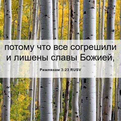 Picture 06 - Римлянам 3:23 RUSV - потому что все согрешили и - Bible Verse Picture