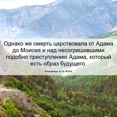 Picture 06 - Римлянам 5:14 RUSV - Однако же смерть - Bible Verse Picture
