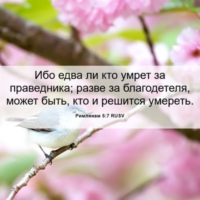 Picture 06 - Римлянам 5:7 RUSV - Ибо едва ли кто умрет за - Bible Verse Picture