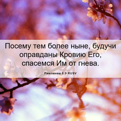 Picture 06 - Римлянам 5:9 RUSV - Посему тем более ныне, - Bible Verse Picture
