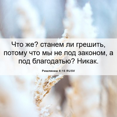 Picture 06 - Римлянам 6:15 RUSV - Что же? станем ли грешить, - Bible Verse Picture