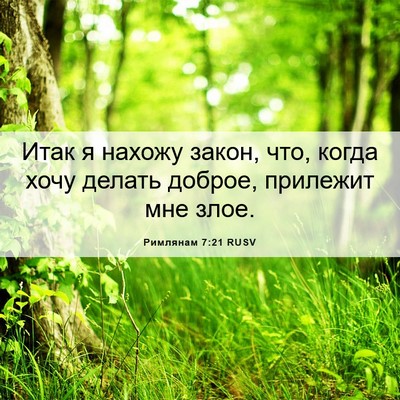 Picture 06 - Римлянам 7:21 RUSV - Итак я нахожу закон, что, - Bible Verse Picture