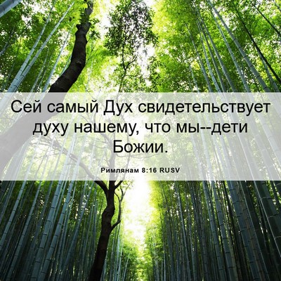 Picture 06 - Римлянам 8:16 RUSV - Сей самый Дух - Bible Verse Picture