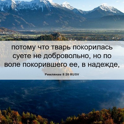 Picture 06 - Римлянам 8:20 RUSV - потому что тварь - Bible Verse Picture