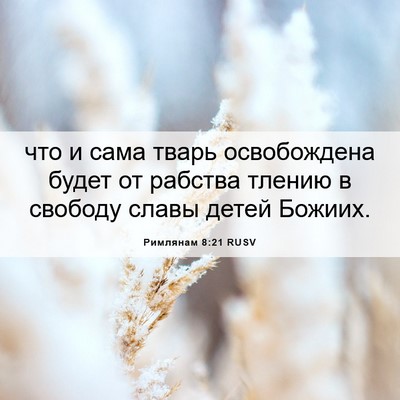 Picture 06 - Римлянам 8:21 RUSV - что и сама тварь - Bible Verse Picture