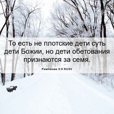 Picture 06 - Римлянам 9:8 RUSV - То есть не плотские дети - Bible Verse Picture