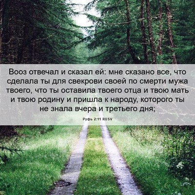 Picture 06 - Руфь 2:11 RUSV - Вооз отвечал и сказал ей: - Bible Verse Picture
