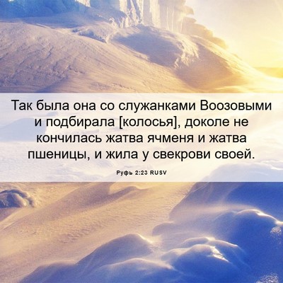 Picture 06 - Руфь 2:23 RUSV - Так была она со служанками - Bible Verse Picture