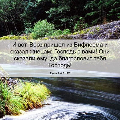 Picture 06 - Руфь 2:4 RUSV - И вот, Вооз пришел из - Bible Verse Picture