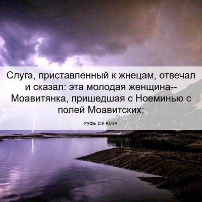 Picture 06 - Руфь 2:6 RUSV - Слуга, приставленный к - Bible Verse Picture