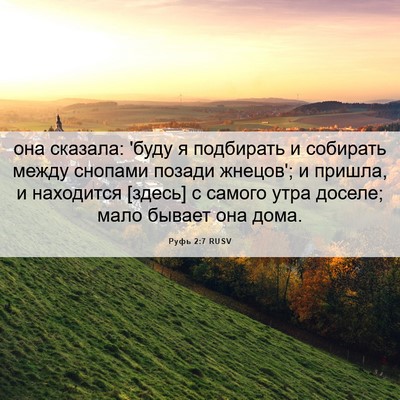 Picture 06 - Руфь 2:7 RUSV - она сказала: 'буду я - Bible Verse Picture