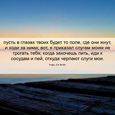 Picture 06 - Руфь 2:9 RUSV - пусть в глазах твоих будет - Bible Verse Picture
